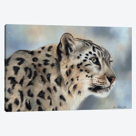 Snow Leopard IV Canvas Print #SAS92} by Sarah Stribbling Canvas Wall Art