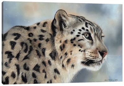 Snow Leopard IV Canvas Art Print - Sarah Stribbling