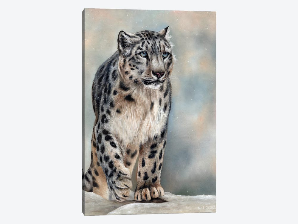 Snow Leopard by Sarah Stribbling 1-piece Canvas Print
