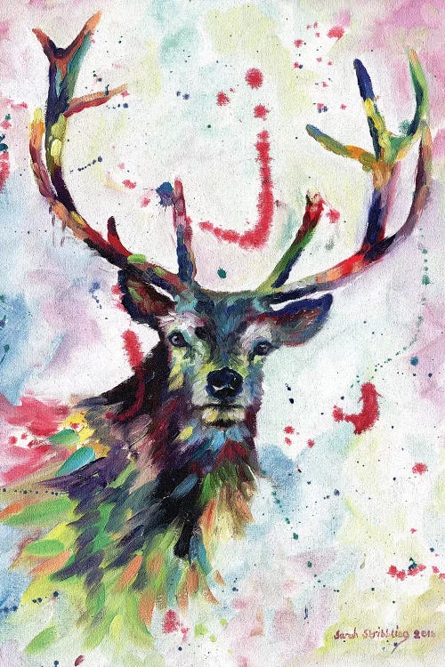 Stag dream