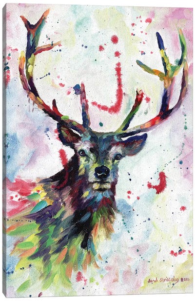 Stag dream Canvas Art Print - Sarah Stribbling