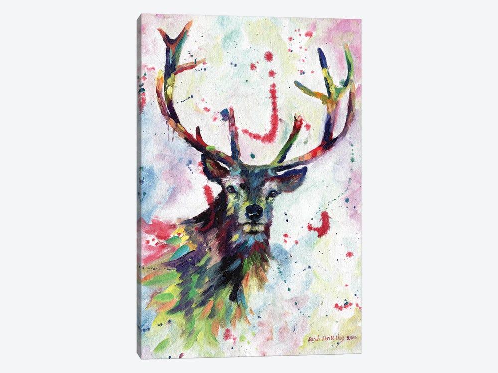 Stag dream by Sarah Stribbling 1-piece Canvas Art