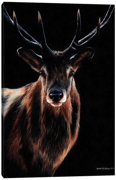 Stag Canvas Art Print - Sarah Stribbling