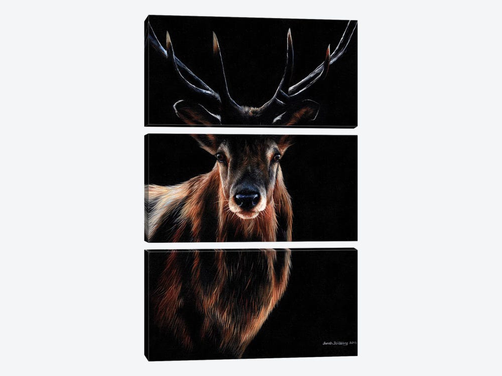 Stag by Sarah Stribbling 3-piece Canvas Art Print