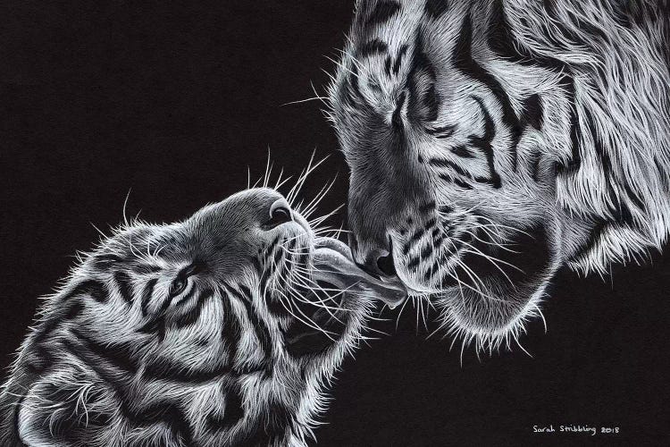 Tiger And Cub