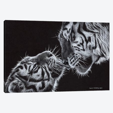 Tiger And Cub Canvas Print #SAS97} by Sarah Stribbling Canvas Art Print