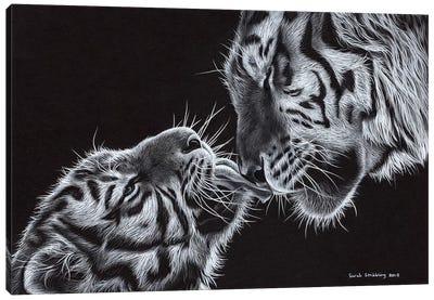 Tiger And Cub Canvas Art Print - Sarah Stribbling