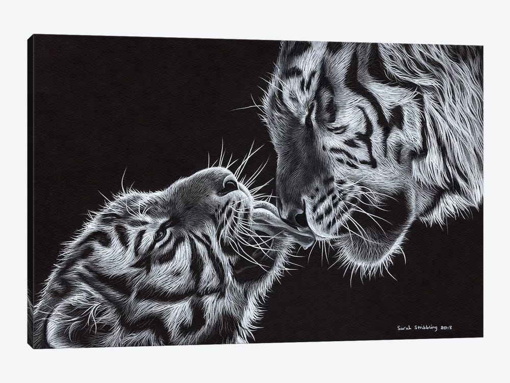 Tiger And Cub by Sarah Stribbling 1-piece Art Print