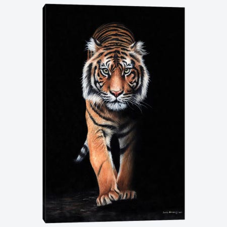 Tiger Black Canvas Print #SAS98} by Sarah Stribbling Canvas Wall Art