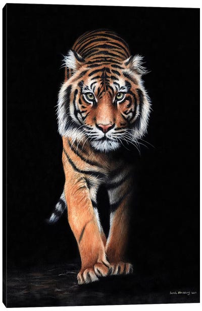 Tiger Black Canvas Art Print - Sarah Stribbling