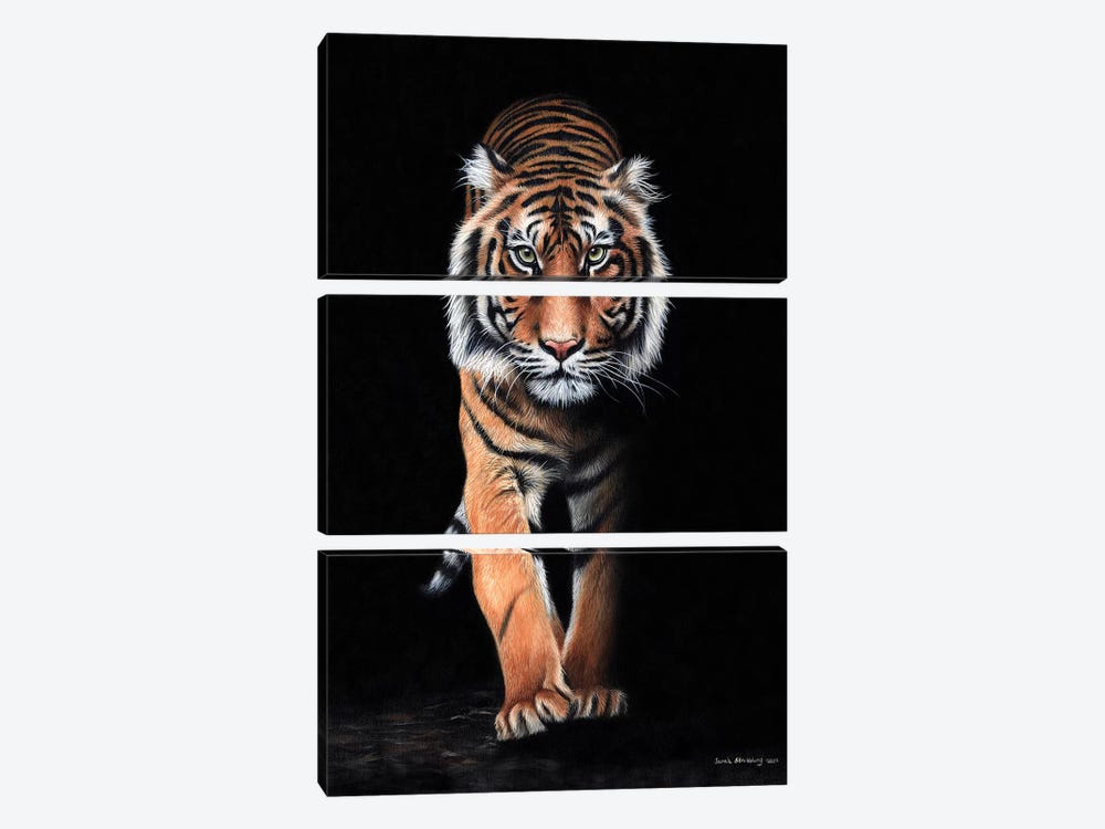 Tiger Black 3-piece Canvas Artwork