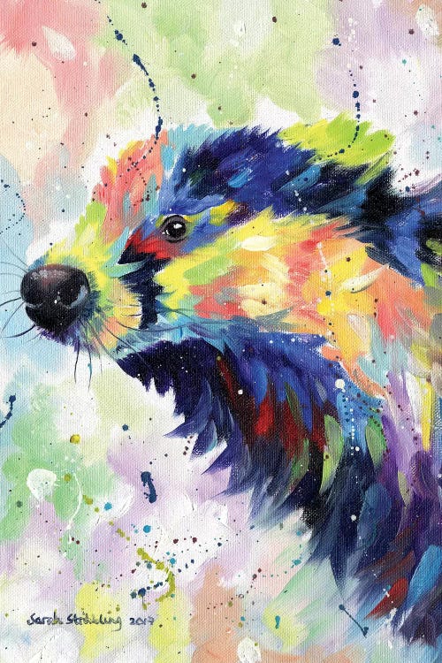 Badger Colour by Sarah Stribbling wall art