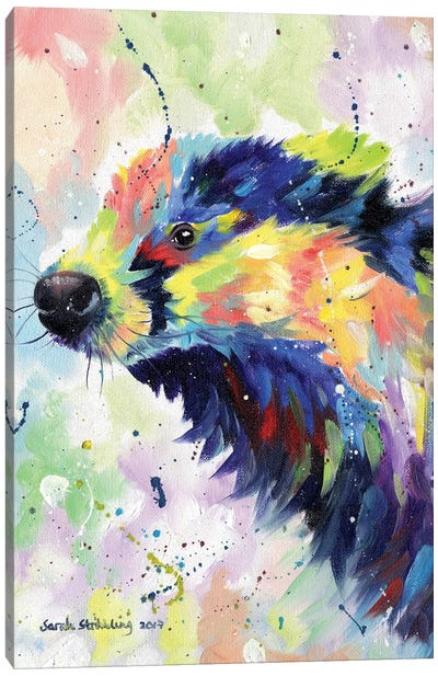Badger Colour Canvas Art Print - Badger Art