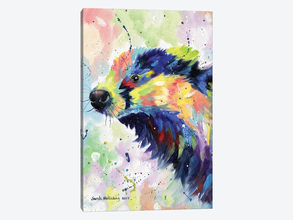 Badger Colour by Sarah Stribbling 1-piece Canvas Artwork