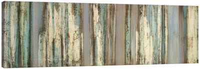 Blue Mood Canvas Art Print - Aspen and Birch Trees