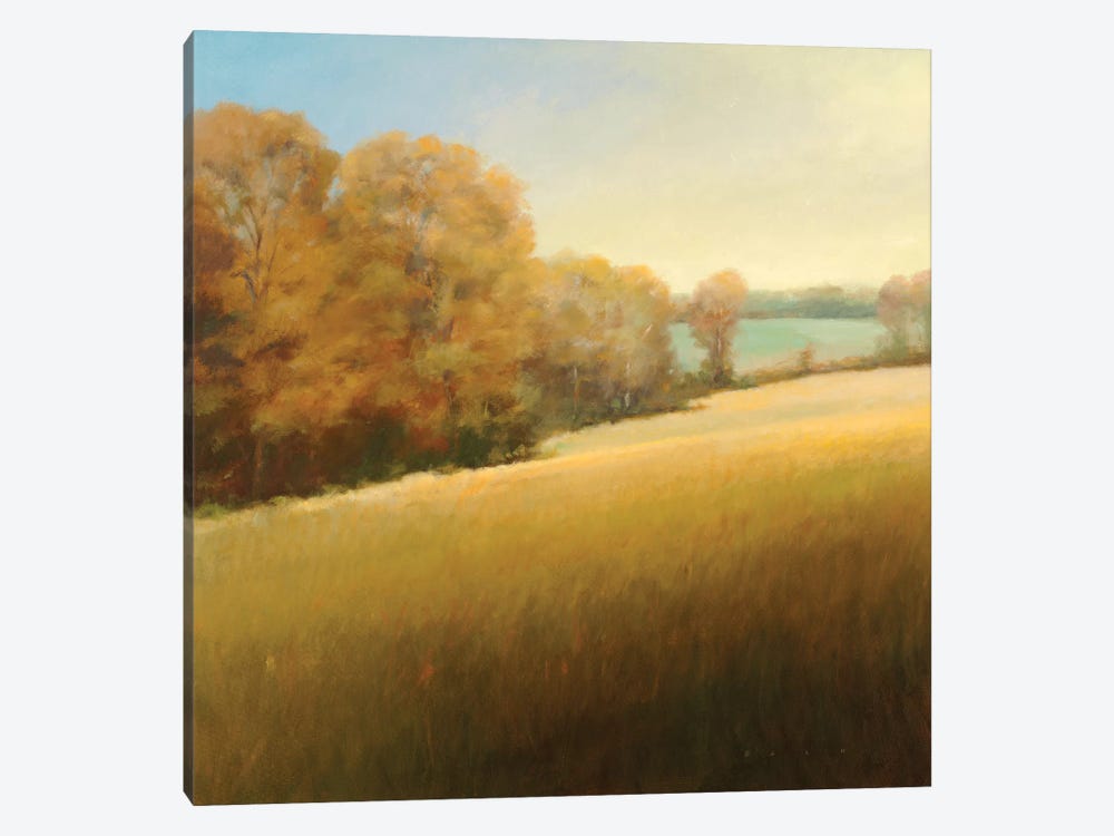 Distant Lake by Stephen Bach 1-piece Canvas Artwork