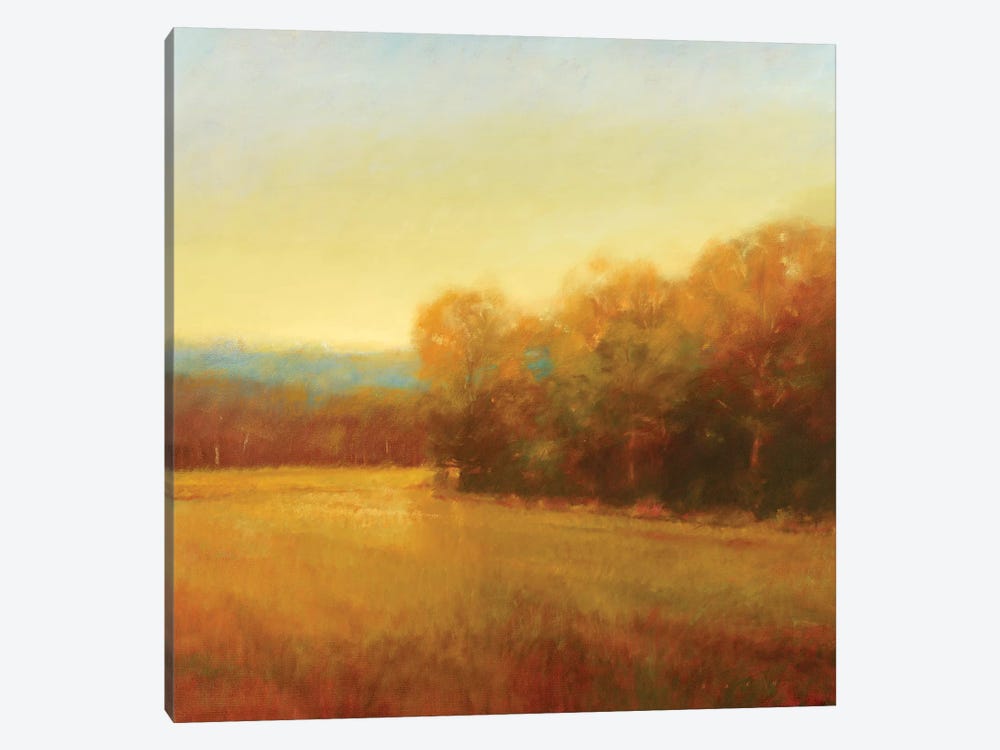 Overcast by Stephen Bach 1-piece Canvas Print