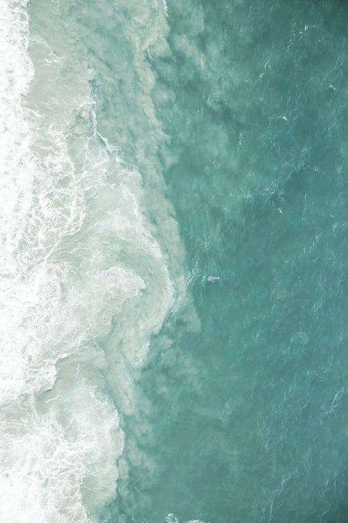 Moana by Shot by Clint wall art