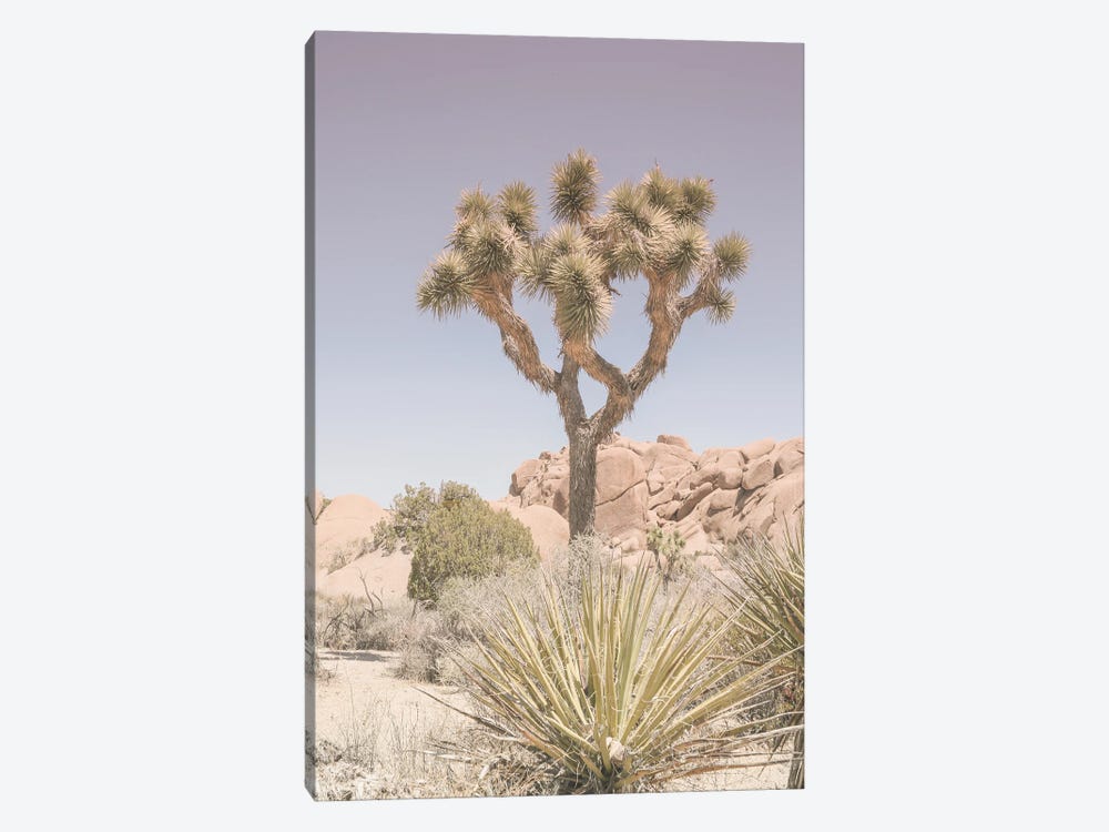 Mojave Desert by Shot by Clint 1-piece Canvas Artwork