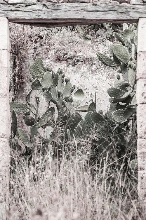 Nature Rules