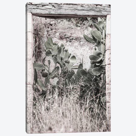 Nature Rules Canvas Print #SBC111} by Shot by Clint Canvas Artwork