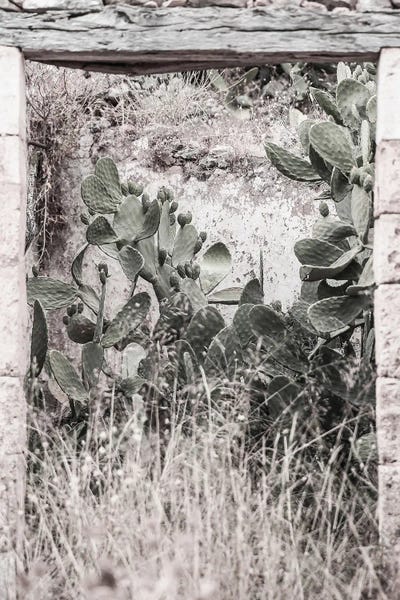 Nature Rules