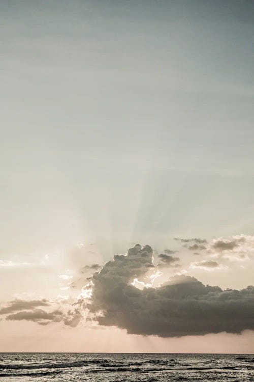 New Light by Shot by Clint wall art