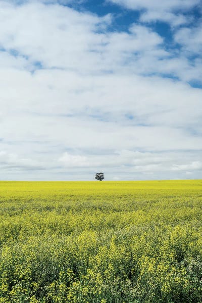 Rothko Inspired Photography: Paarl by Shot by Clint