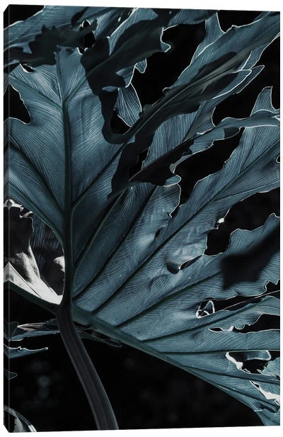 Pacific Monster Canvas Art Print - Shot by Clint