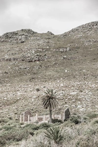 Dereliction: Palm House by Shot by Clint