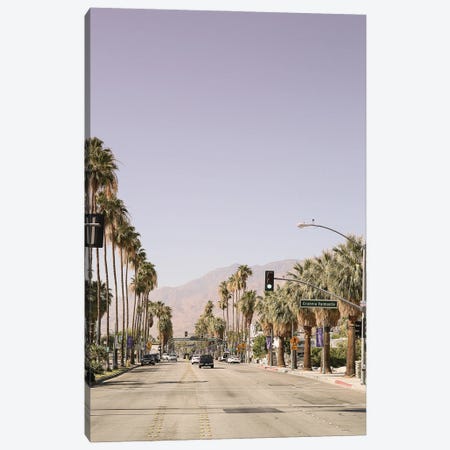 Palm Spring Canvas Print #SBC133} by Shot by Clint Canvas Artwork