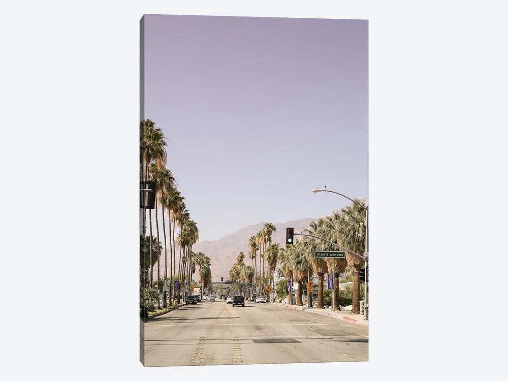 Palm Spring by Shot by Clint 1-piece Canvas Art
