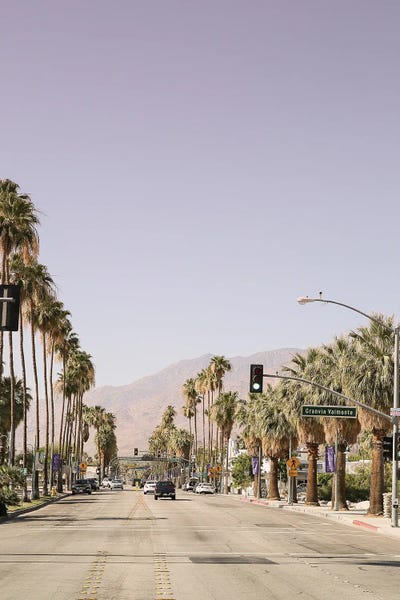 Fine Art Print: Palm Spring by Shot by Clint