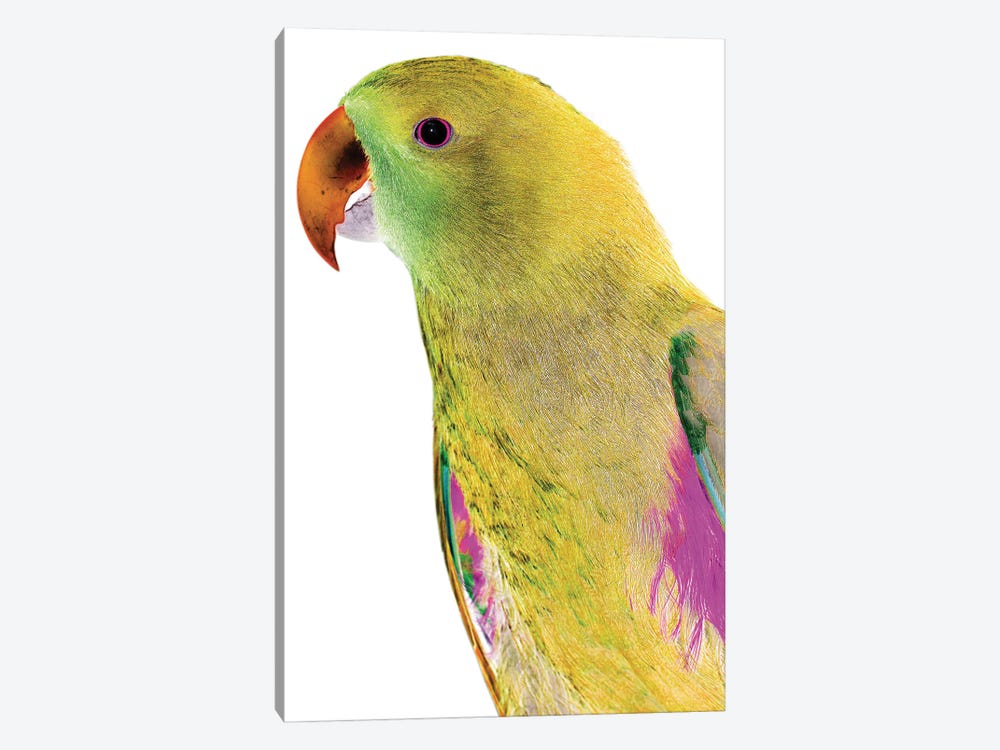 Polly by Shot by Clint 1-piece Art Print