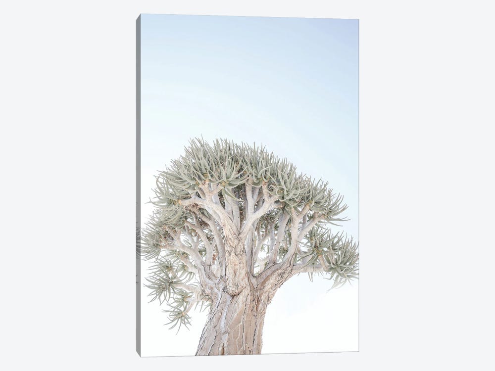 Quiver Tree by Shot by Clint 1-piece Canvas Artwork
