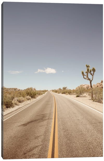 Road To Nowhere Canvas Art Print - Shot by Clint