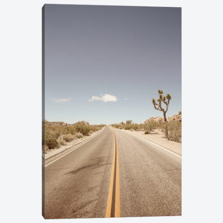 Road To Nowhere Canvas Print #SBC150} by Shot by Clint Canvas Wall Art