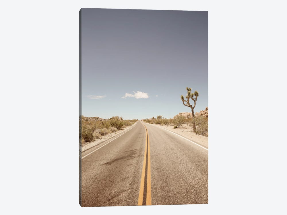 Road To Nowhere by Shot by Clint 1-piece Canvas Print