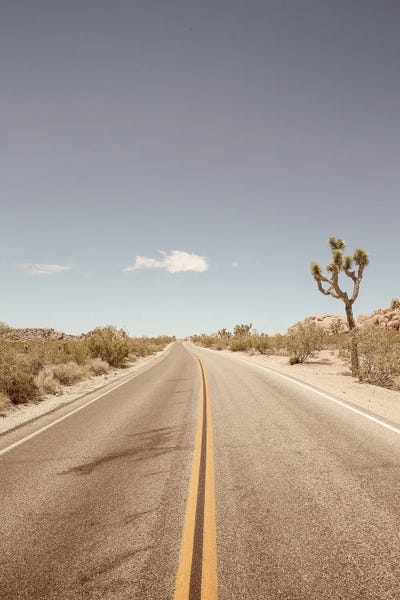 Photography: Road To Nowhere by Shot by Clint