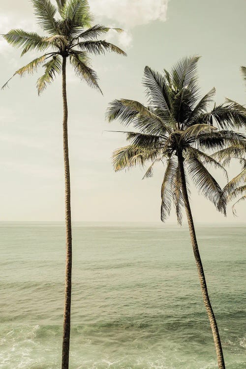 Sea Breeze