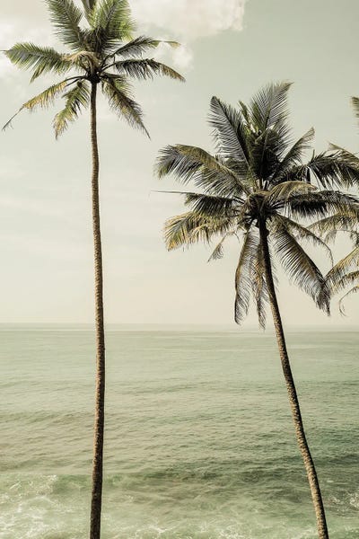 Monochromatic Photography: Sea Breeze by Shot by Clint