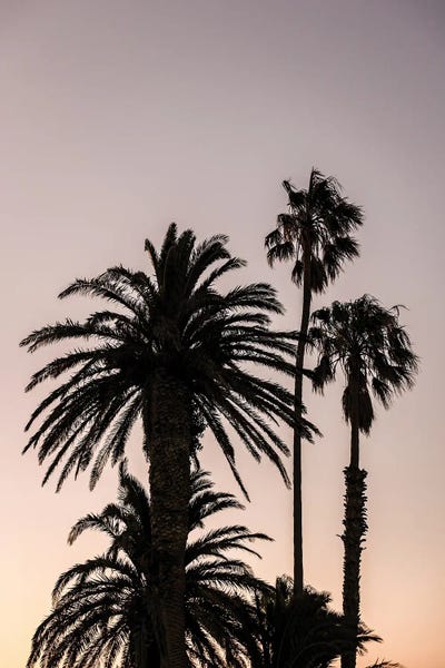 Fine Art Print: Sea Point by Shot by Clint