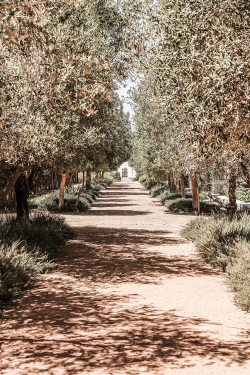 Secret Garden