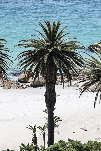 Secret Sands by Shot by Clint framed canvas print