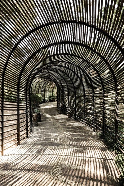 Shadow Garden by Shot by Clint canvas print