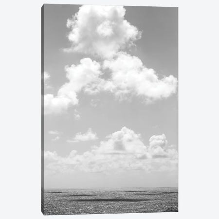 Shadow Play Canvas Print #SBC167} by Shot by Clint Canvas Art