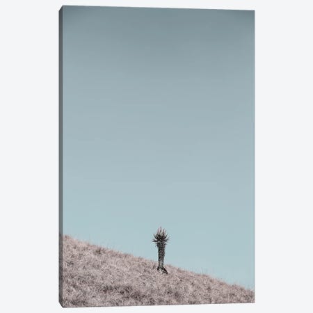 Solider Canvas Print #SBC172} by Shot by Clint Canvas Wall Art