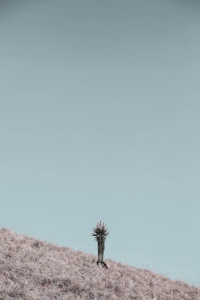 Minimalist Photography: Solider by Shot by Clint