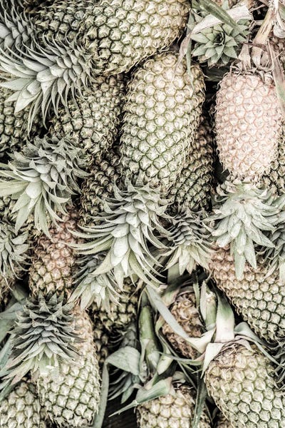 Spiced Pine by Shot by Clint art print