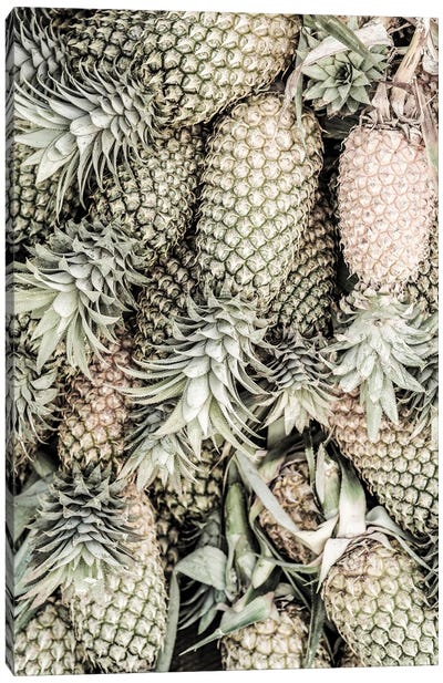 Spiced Pine Canvas Art Print - Pineapple Art